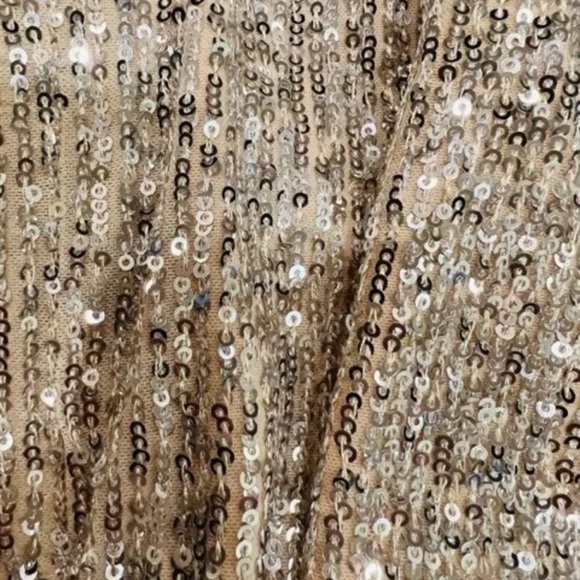 Ramy Brook Gold Sequin Maxi Dress - Picture 14 of 15